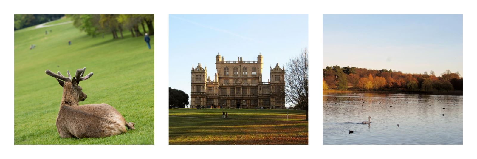 Wollaton Hall in Autumn